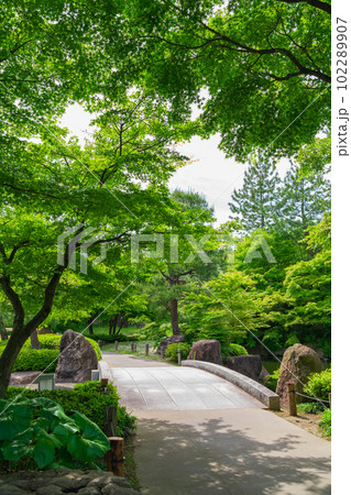 新緑の徳川園〈愛知県名古屋市〉 102289907