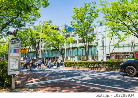 東京　新緑の表参道 102289934