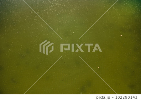 Green dirty water in swimming pool, problem service concept. Dirty abandoned 102290143