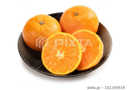 ミカン科の柑橘類、カラマンダリン 102290919