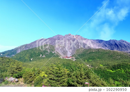 【鹿児島県】晴天の湯之平展望所から見た桜島 102290950