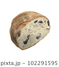 レーズン入りフランスパンの断面 102291595