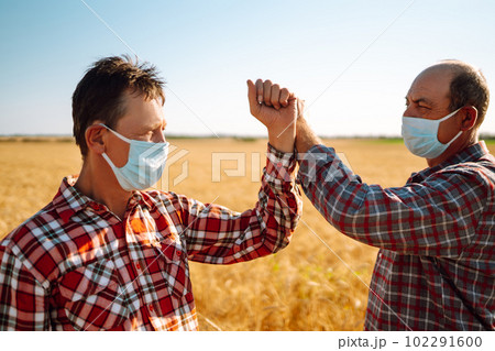Farmers in sterile medical masks on his face greet their elbows on a wheat field. Elbow bump. Farmers in sterile medical masks on his face greet their elbows on a wheat field. Elbow bump. 102291600