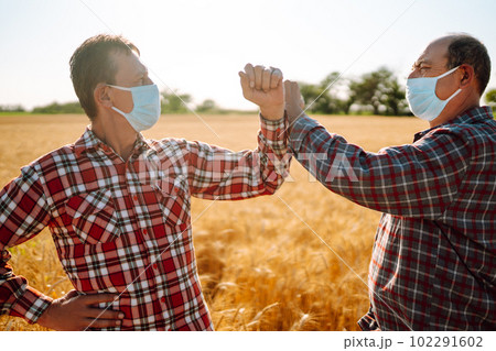 Farmers in sterile medical masks on his face greet their elbows on a wheat field. Elbow bump. Farmers in sterile medical masks on his face greet their elbows on a wheat field. Elbow bump. 102291602