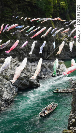 吉野川に架かる鯉のぼり【徳島県三好市大歩危】5 吉野川に架かる鯉のぼり【徳島県三好市大歩危】5 102291729
