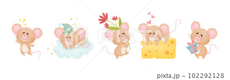 Cute Little Mouse Character Engaged in Different Activity Vector Set 102292128