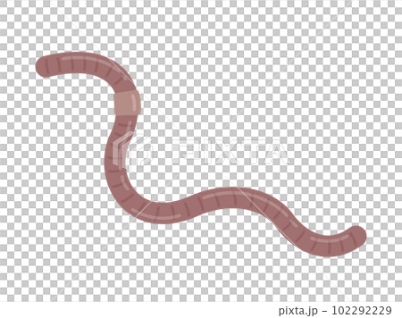 ミミズのイラスト ミミズのイラスト 102292229
