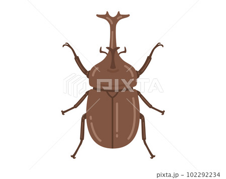 カブトムシの成虫のイラスト 102292234