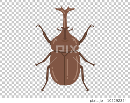 カブトムシの成虫のイラスト 102292234