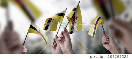 A group of people holding small flags of the Brunei in their hands 102292525