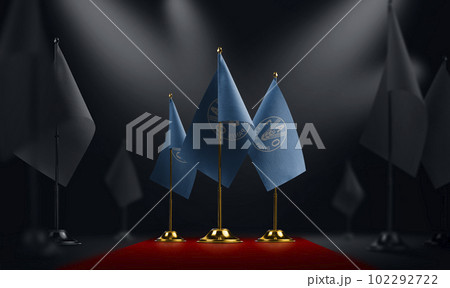 The Food and agriculture organization national flag on the red carpet The Food and agriculture organization national flag on the red carpet 102292722