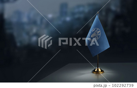 Small flags of the Food and agriculture organization on an abstract blurry background 102292739