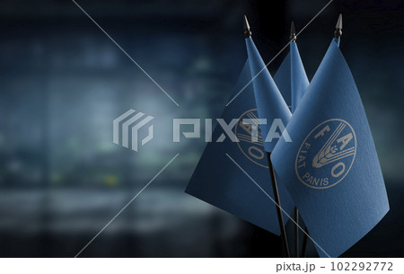 Small flags of the Food and agriculture organization on an abstract blurry background 102292772