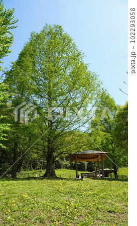 新緑の善通寺五岳の里市民集いの丘公園【香川県善通寺市】 102293058