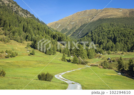 Mountain road in Engadine, country road with swiss alps, Switzerland 102294610