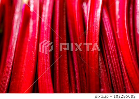 Fresh raw beet greens ready for cooking. Natural background. 102295085