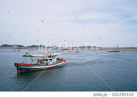 seaside landscape 102295310