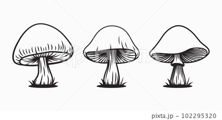 Vector Hand Drawn Cartoon Flat Mushroom Icon Set. Mushroom Illustration, Mushrooms Collection. Magic Mushroom Symbol, Design Template Vector Hand Drawn Cartoon Flat Mushroom Icon Set. Mushroom Illustration, Mushrooms Collection. Magic Mushroom Symbol, Design Template 102295320