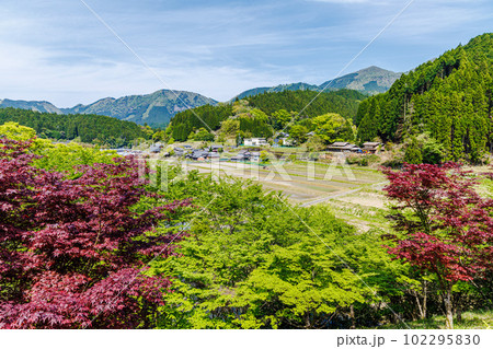 曽爾巾着山公園から見た風景　深紅のもみじと里山の風景② 102295830