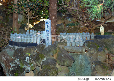 成田山川越別院(川越) 成田山川越別院(川越) 102296423