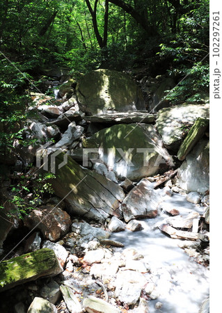 霧島にある川の中の湯 霧島にある川の中の湯 102297261