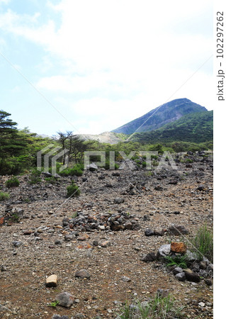 ゴツゴツした岩が転がるえびの高原の風景 102297262