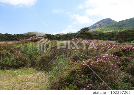 晴れた初夏のえびの高原 晴れた初夏のえびの高原 102297263