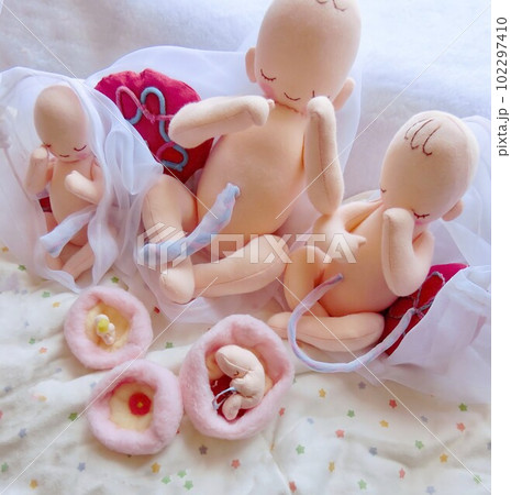 着床から出産までの胎児の成長がわかる 102297410