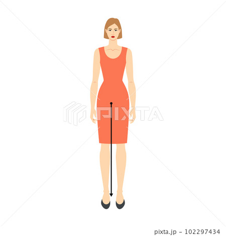 Women to do legs length measurement body with arrows fashion Illustration for size chart. Flat female character Women to do legs length measurement body with arrows fashion Illustration for size chart. Flat female character 102297434