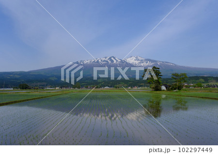 水田に映る鳥海山 水田に映る鳥海山 102297449