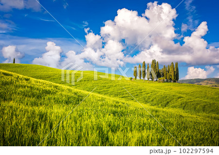Tuscany at spring sunny day Tuscany at spring sunny day 102297594