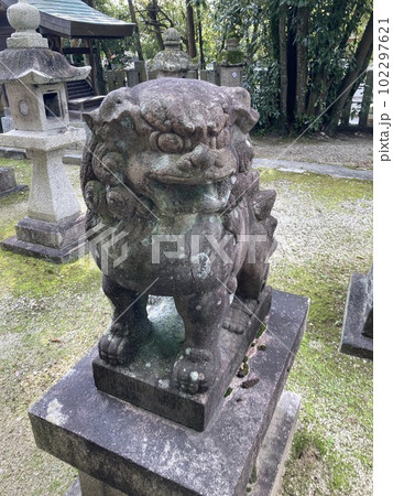 奈良県の神社、秦氏由来の秦楽寺の境内にある春日神社の狛犬(阿)です。 102297621