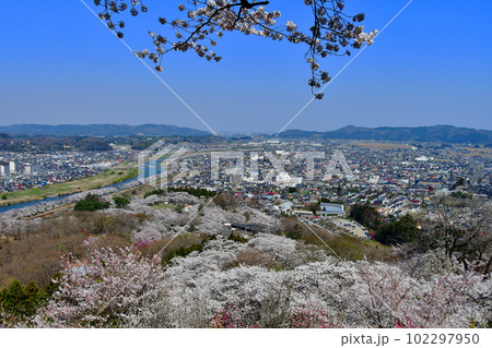 宮城県 柴田町 船岡城址公園山頂 船岡平和観音から俯瞰する一目