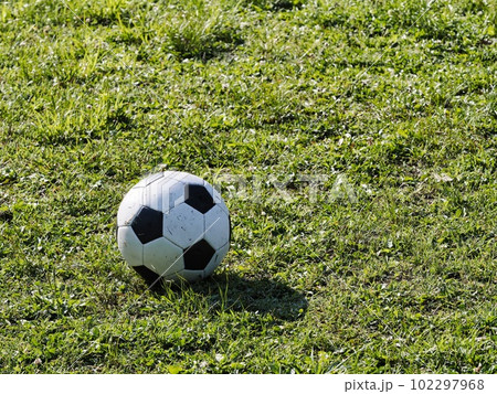 草地に置かれたサッカーボール 102297968
