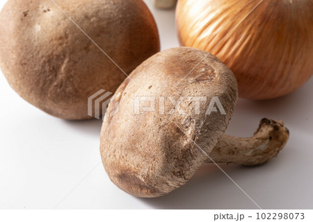 椎茸 椎茸 102298073