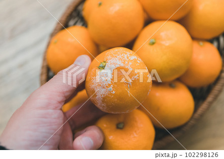 腐ったみかん 腐ったみかん 102298126
