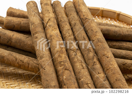 新鮮な土付き牛蒡 102298216