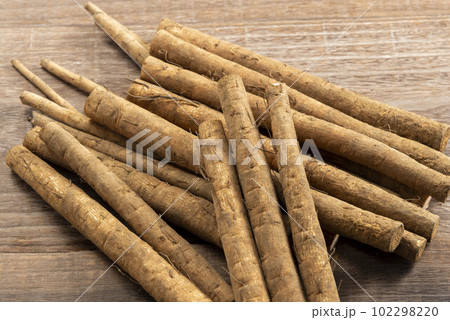 新鮮な土付き牛蒡 102298220