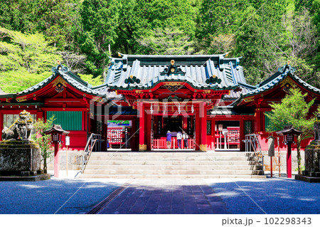 箱根神社社殿 102298343