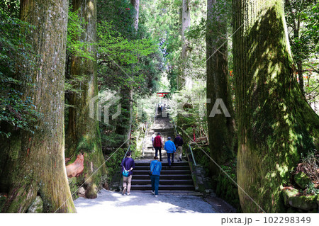 箱根神社参道 102298349