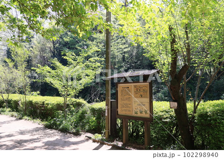 東京都目黒区駒場野公園のケルネル田圃の風景 東京都目黒区駒場野公園のケルネル田圃の風景 102298940