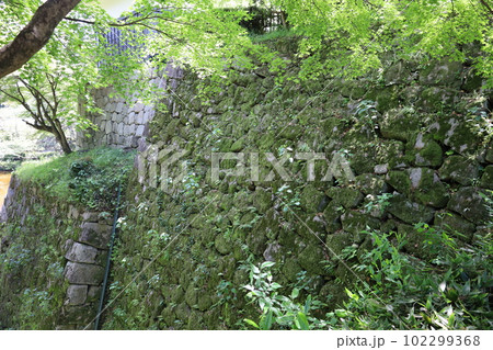大河ドラマで話題の岡崎城の石垣と苔　徳川家康 102299368