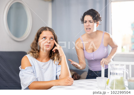 Young female LGBT couple quarreling at home 102299504