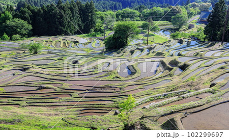 田植え前の丸山千枚田 田植え前の丸山千枚田 102299697