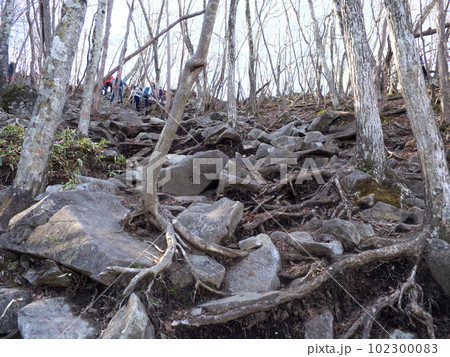 赤城山登山ルートの景色 赤城山登山ルートの景色 102300083