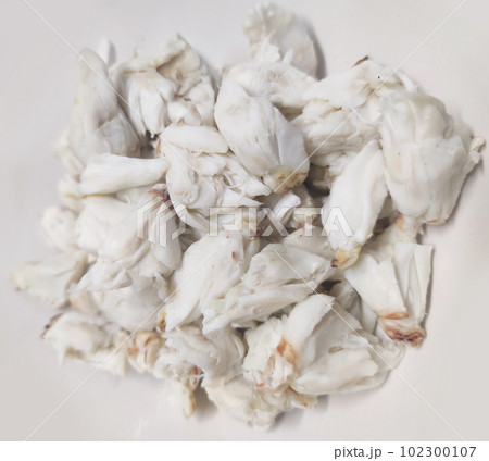 steamed fresh stone crab meat isolate on white backgrounds, food topping, Cheliped of the crab, prepared raw shell animal at homemade gourmet restaurant 102300107