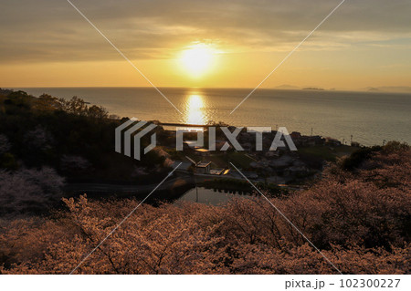 伊予市双海の桜と海の風景 102300227