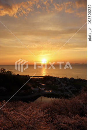 伊予市双海の夕日と海と桜の風景 102300229