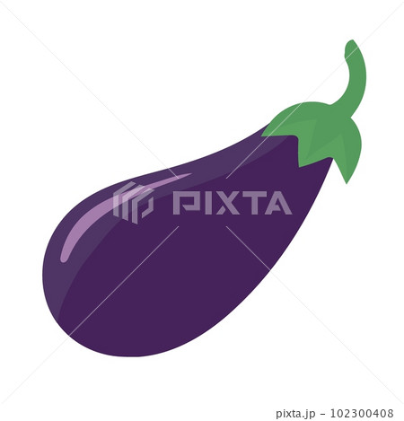 eggplant purple food isolated white background 102300408