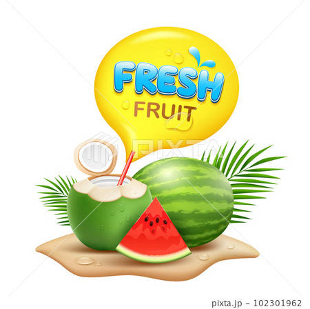Coconuts fruit and Watermelon fresh isolated on white background 102301962